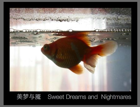 sweet_dreams_01